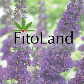 Fitoland